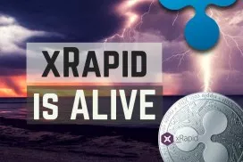 xrapid alive